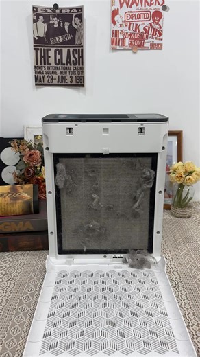 Keep the city out, keep the clean in #tolife #tiktokshopholidayhaul #filter #airpurifier #trending