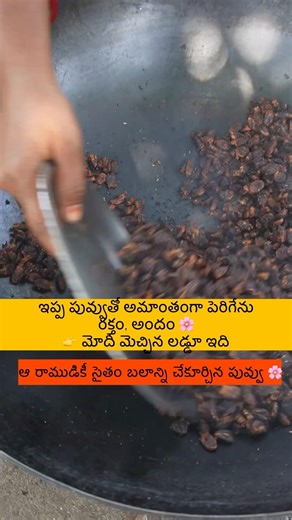 Ippa ivvu laddu proven by icrisat|momsmillets Organics |9515092969 #mahuaflowerladdu #ippapuvvuladdu