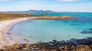 Maria Island | A Guide to the Perfect Day Trip