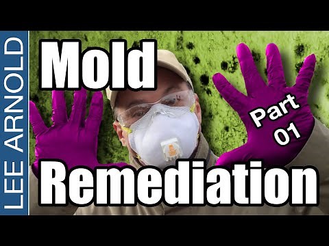 How To Clean and Remove Toxic Black Mold Safely DIY - PART 1