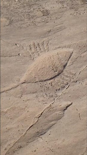 #Petra, no Petro-glyphs at Al Jassasliya, stone carvings in the desert Ala Indiana Jones