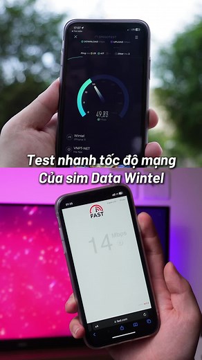 wintel trên TikTok