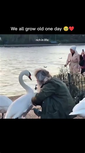 We all grow old one day 🥹❤️