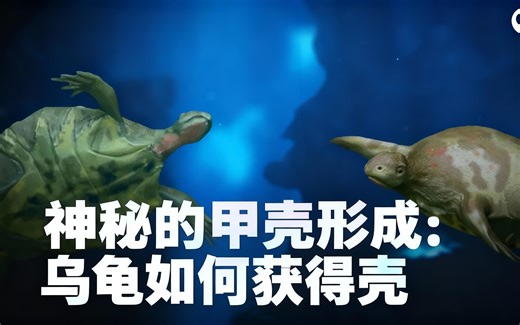 [中配]神秘的甲壳形成：乌龟如何获得壳 - PBS Eons