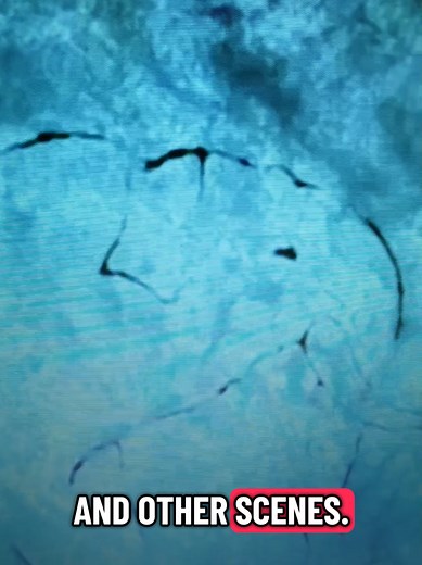 Lake Michigan Underwater Stonehenge #michigan #lake #underwater #history #science