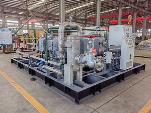 [Hot Item] Reciprocating Compressor Explosion-Proof Carbon Dioxide Compressor CO2 Compressor Water Cooling Oillesscompressor