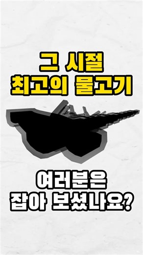 피쉬 토막 상식-5 | 스펙트럼 서펀트