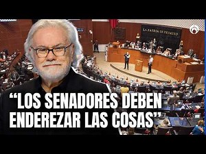 “It’s very good, but it has 5 little details that catch my attention”: Ruiz-Healy on the new law