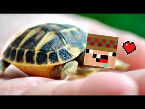 ME CONVIERTO EN SILVIO :v 😂