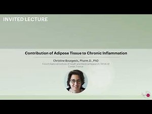 Contribution of Adipose Tissue to Chronic Inflammation - Christine Bourgeois, Pharm.D., PhD
