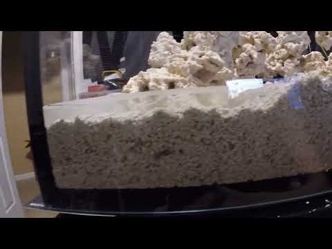 My First Aquarium - Max E170 - Filling Up The Tank - [Ep.12]