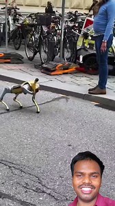 2.4K views · 18 reactions | Robot dog vs real Dog  #reels #viral #trending #robotdog | Pallabi Mondal | Facebook