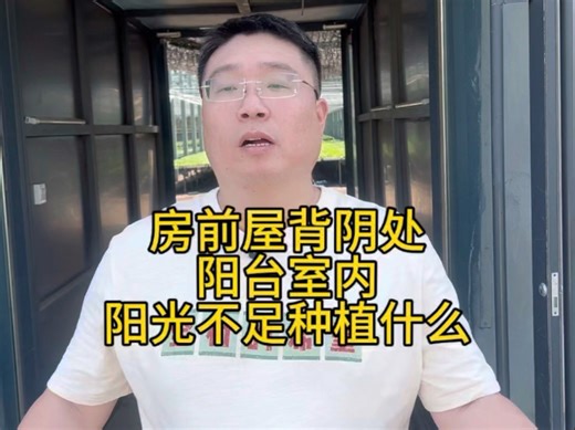房前屋背阴处，阳台室内，阳光不足种植什么