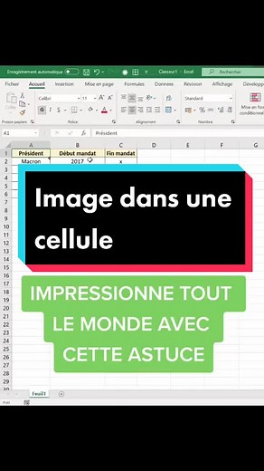 Afficher une image dans une cellule sur Excel