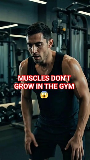 The Secret Science of Muscle Growth 🧬
