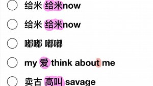 Savage纯享版教学