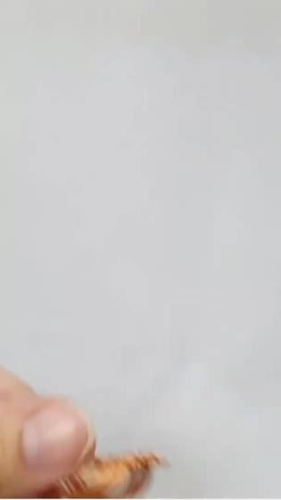 Play with wire | Jewelry | Conch shell | Wind spinner | Pendant 602 #Shorts