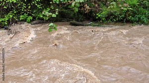 Muddy River Overflowing After Heavy Rainfall with Deadwood and Eroding Riverbank