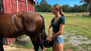 Willow. Hand on Reels