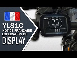 Display YL81C