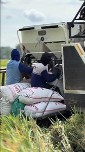 MAXXI || #automobile #combineharvester #maxxibimoterbaru #maxxibimo102standar #combinepadi #farming