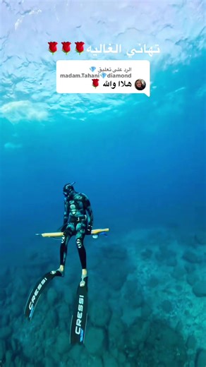 الرد على تهاني الغالية - الجزائر والمغرب وتونس