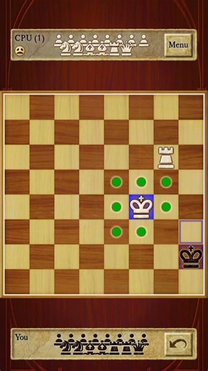 2 B views in chess💞💞 #chess #rook