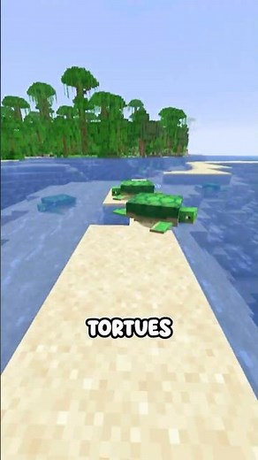 The BEST TURTLE FARM!!