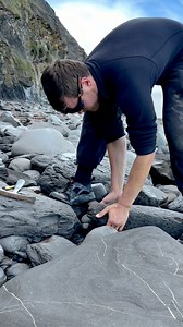 52K views · 859 reactions | We walked along a sandy beach and found a...