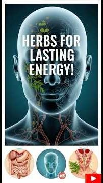 What are the top herbs to combat chronic fatigue safely?