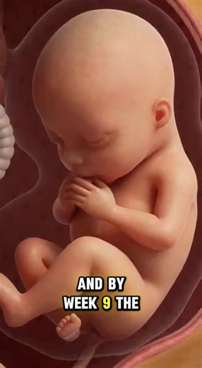 How Pregnancy Begins: Week 1 to Week 9 Development #pregnancy