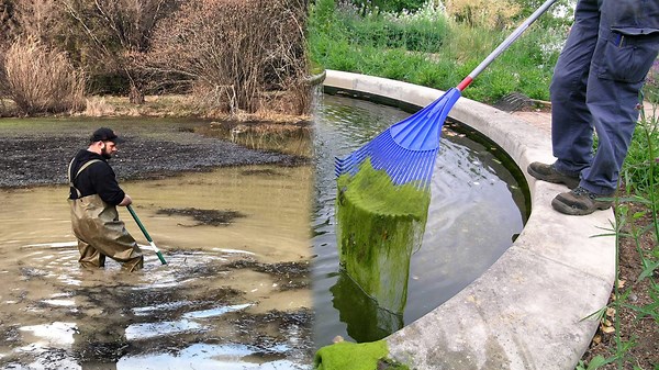 Extremely Dirty Pool Get a Fresh Makeover