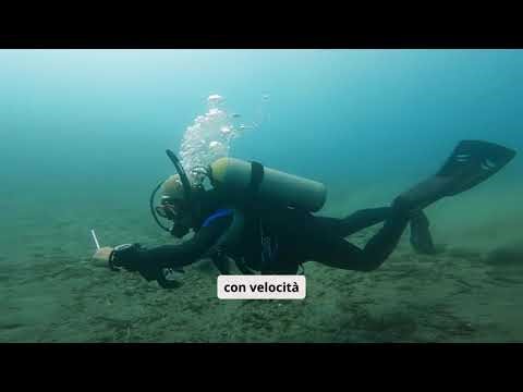 BASE ALIENA NEL MAR TIRRENO: SCOPERTE SCONVOLGENTI!