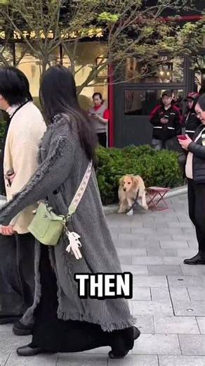 This dog’s reaction to a robot is TOO REAL 😭 #FunnyDog #Robot #Relatable