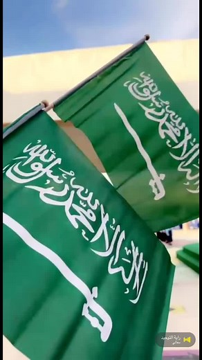 Saudi Arabian Flag in Various Settings