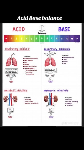 #nursingcontent #rnnclex #nclexrn #nclexrnprep #nclexrntips #mbnursingmadeeasy #acidbasebalance