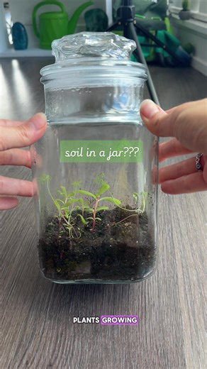 Creating a Mini Ecosystem in a Jar