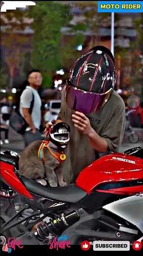 Expectation ❌ Reality ✔️ 🐱🏍️#rider #trending #youtubeshorts #bike #bikelover #shorts #biker