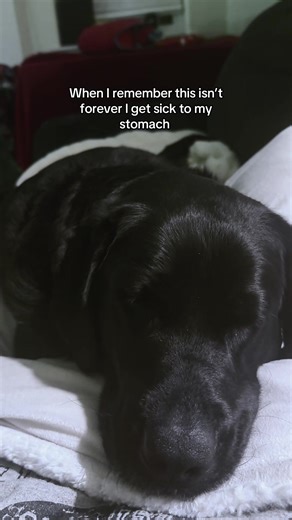 forever my baby 🥺 | forever my baby