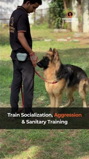 The Ultimate Training Program!