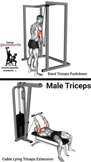“Small biceps, big triceps?” 🤔👉 70% of your arm size is triceps! #triceps #tricepsworkout #gymreels