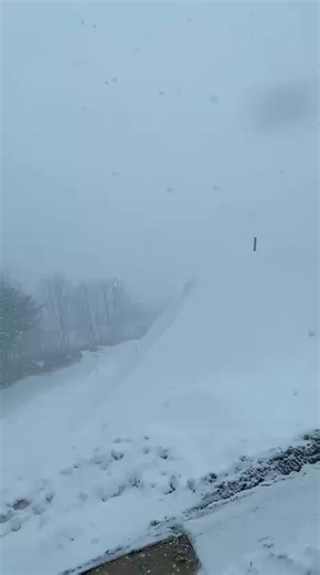 #snowflakes #snowday #heavyweather #japan #青森県
