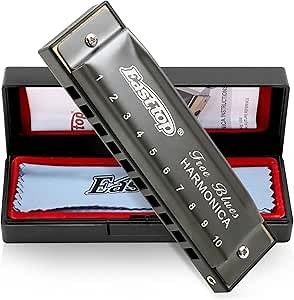 East top Deluxe Harmonica Key of C, 10 Holes 20 Tones Mouth Organ Diatonic Blues Harmonica For Adults, Beginners, Professionals and Students, as a Gift（Silver grey）