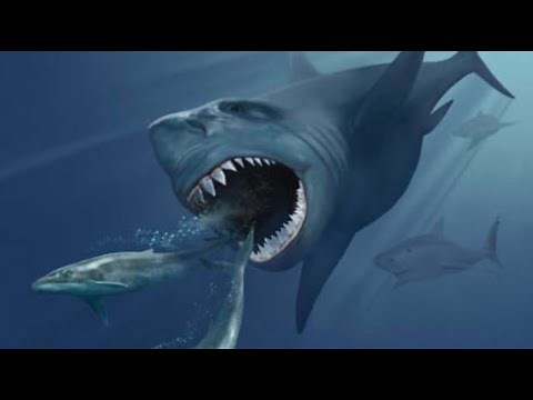Facts: The Megalodon