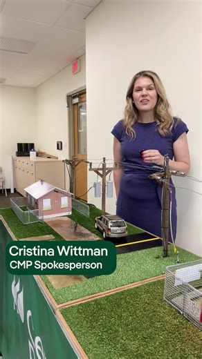 134K views · 2.1K reactions |  Welcome to Safety City!  At CMP,...