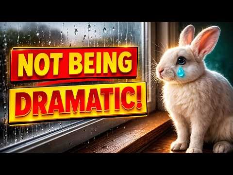 Before You Leave the House, Stop Doing This—Your Rabbit Isn’t “Being Dramatic”