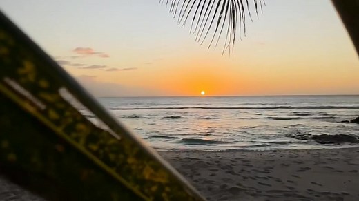 Step onto the shores of Savai’i, where nature and culture live in harmony. 🌴✨ Have you explored Samoa’s big island yet? #BeautifulSamoa #Travel #Moana | Samoa Tourism