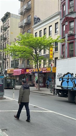 Composition with spring tree on Grand St., New York City NYC