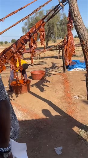 2.1K reactions · 27 shares | Bienvenue au Burkina Faso plus précisément à Sapaga. Clichy. | Jp Spato Tapsoba | Facebook