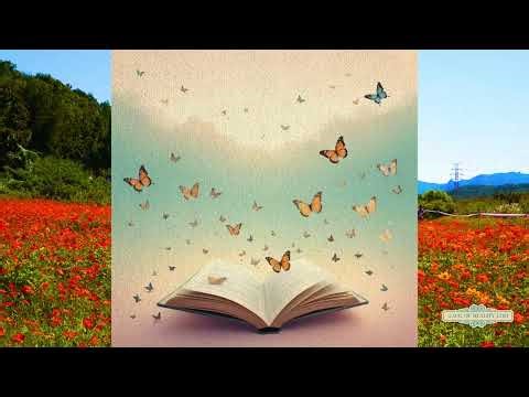 Butterflies – Lack of Reality Lofi | Ambient Lofi Beats